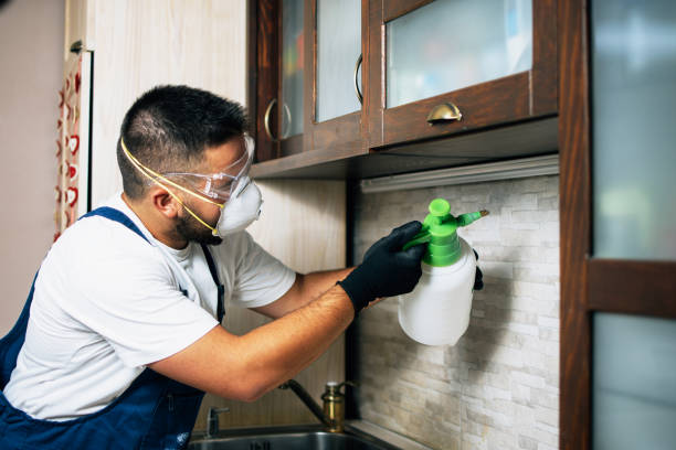 Best Pest Control Near Me in Fowler, CO