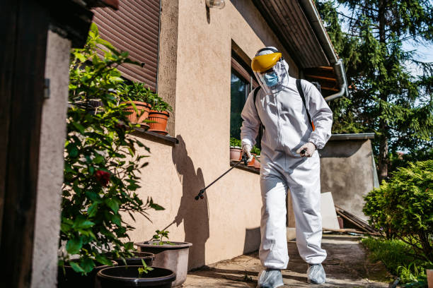 Best Insect Control  in Fowler, CO