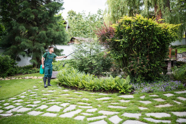 Best Affordable Pest Control Services  in Fowler, CO