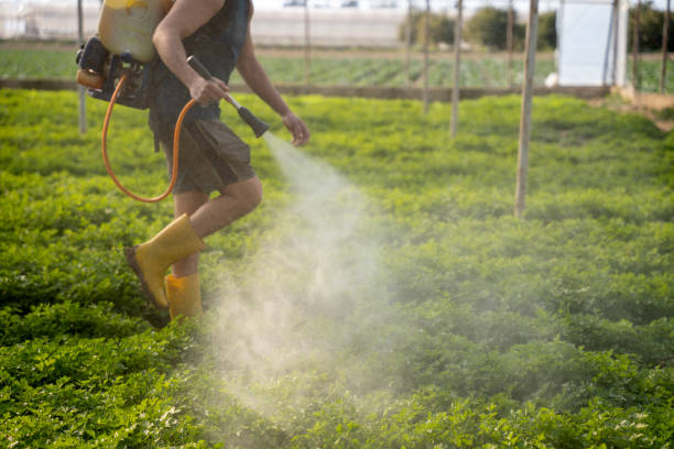 Best Pest Control Near Me  in Fowler, CO