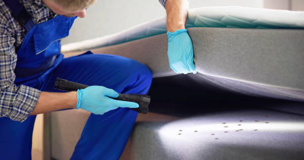 Best Emergency Pest Control  in Fowler, CO