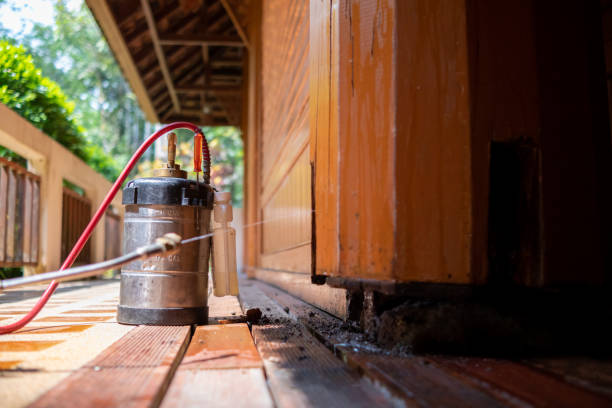 Best Mosquito Control Services  in Fowler, CO