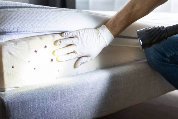 Professional Pest Control in Fowler, CO