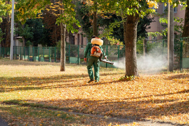 Professional Pest Control in Fowler, CO