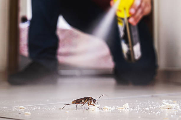 Best Best Pest Control Companies  in Fowler, CO