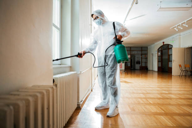 Wasp Removal Services in Fowler, CO
